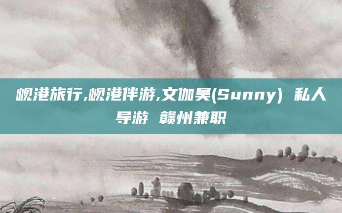 自贡岘港旅行,岘港伴游,文伽昊(Sunny) 私人导游 赣州兼职