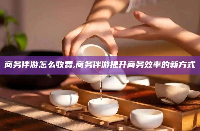 自贡商务伴游怎么收费,商务伴游提升商务效率的新方式